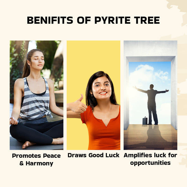 Natural Golden Pyrite Bracelet & Golden Pyrite Tree  Combo Set – For Wealth, Prosperity, Growth & Protection