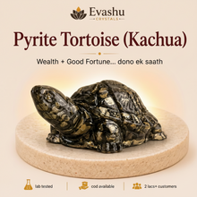 Load image into Gallery viewer, Certified Natural Pyrite Tortoise - Wealth Growth &amp; Business Stability | Buy Online
