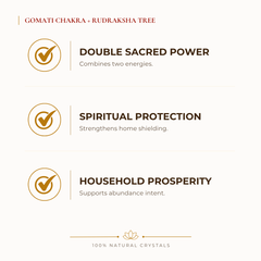 Certified Natural Gomati Chakra + Rudraksha Rudraksha - Double Sacred Power & Spiritual Protection | Buy Online - Image 2