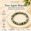 Tree Agate Bracelet – Natural Stone Bracelet for Grounding, Balance & Everyday Wear | Unisex Crystal Jewellery