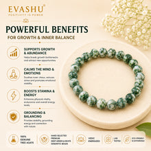Load image into Gallery viewer, Tree Agate Bracelet – Natural Stone Bracelet for Grounding, Balance &amp; Everyday Wear | Unisex Crystal Jewellery
