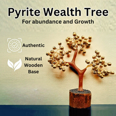 Natural Golden Pyrite Bracelet & Golden Pyrite Tree  Combo Set – For Wealth, Prosperity, Growth & Protection