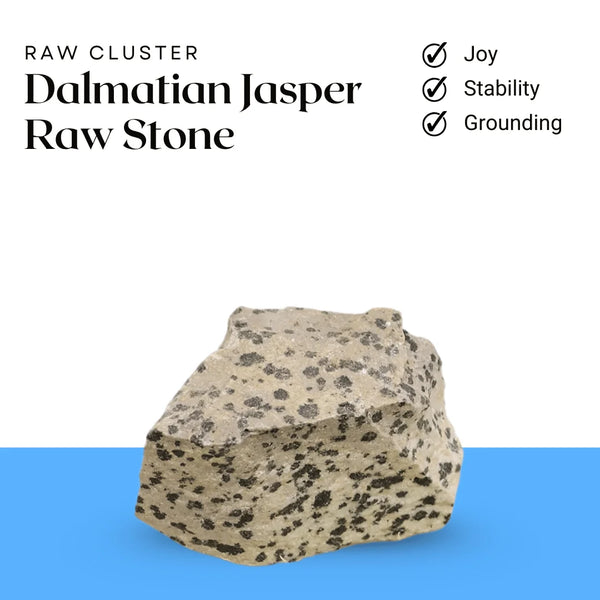 Dalmatian Jasper raw stone cluster symbolizing joy, emotional stability, and grounding energy.
