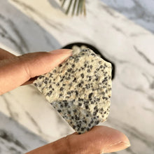 Load image into Gallery viewer, Dalmatian Jasper raw stone resting on the hand, symbolizing joy, stability, and grounding.
