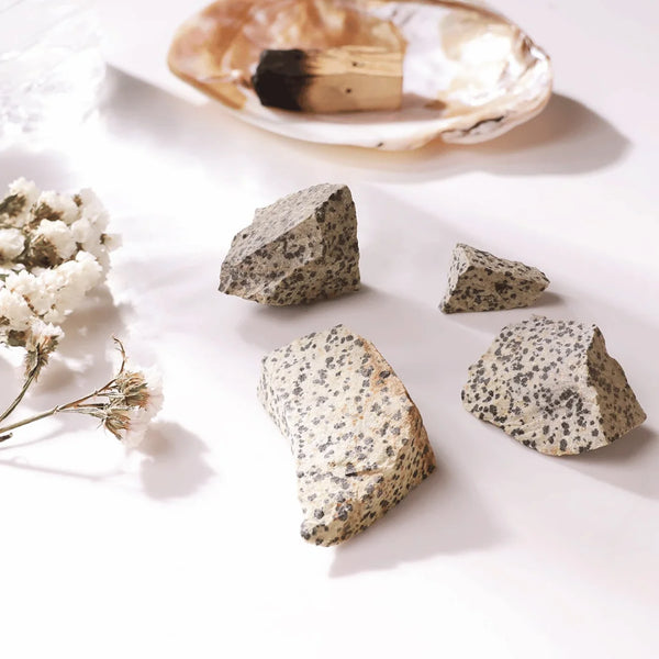 Dalmatian Jasper raw stones placed on a table, symbolizing joy, stability, and grounding energy.