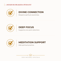 1-Mukhi Rudraksha Pendant benefits for focus and mental clarity, explained in an Evashu natural-crystal guide