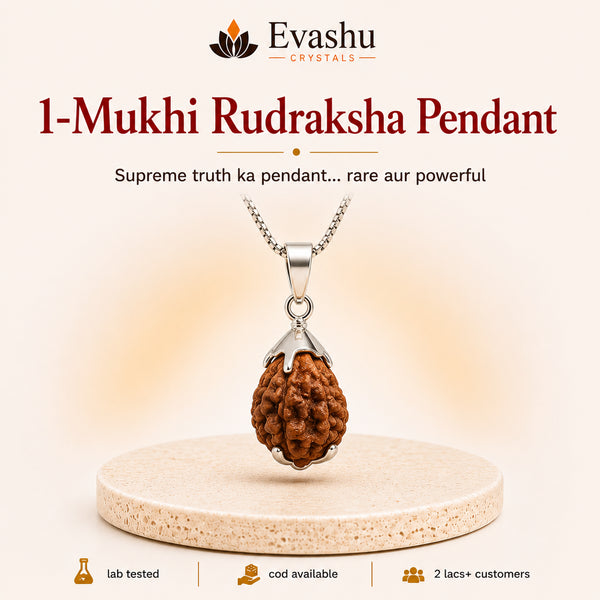Authentic natural 1-Mukhi Rudraksha Pendant for Divine Connection and Deep Focus, shown as the main Evashu product view