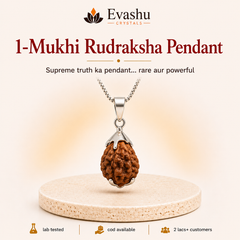 Authentic natural 1-Mukhi Rudraksha Pendant for Divine Connection and Deep Focus, shown as the main Evashu product view