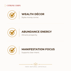 Citrine Chips benefits for wealth attraction and prosperity intention, explained in an Evashu natural-crystal guide