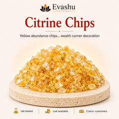 Authentic natural Citrine Chips for Wealth Décor and Abundance Energy, shown as the main Evashu product view