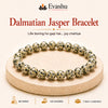 Authentic natural Dalmatian Jasper Bracelet for Joy and Positivity, shown as the main Evashu product view