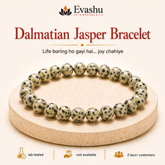 Authentic natural Dalmatian Jasper Bracelet for Joy and Positivity, shown as the main Evashu product view
