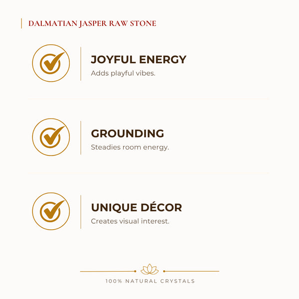 Dalmatian Jasper Raw Stone benefits for focus and mental clarity, explained in an Evashu natural-crystal guide