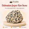 Authentic natural Dalmatian Jasper Raw Stone for Joyful Energy and Grounding, shown as the main Evashu product view