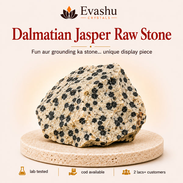 Authentic natural Dalmatian Jasper Raw Stone for Joyful Energy and Grounding, shown as the main Evashu product view