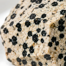 Load image into Gallery viewer, Close-up of authentic natural Dalmatian Jasper showing crystal texture, colour and craftsmanship – dalmatian jasper raw stone symbol of joy playfulness and
