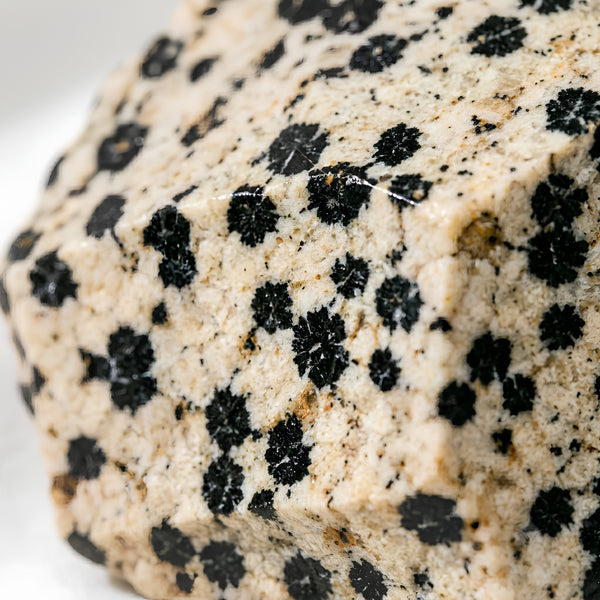 Close-up of authentic natural Dalmatian Jasper showing crystal texture, colour and craftsmanship – dalmatian jasper raw stone symbol of joy playfulness and