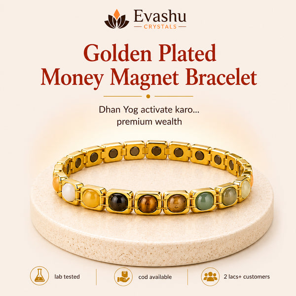 Authentic natural Golden Plated Money Magnet Bracelet for Dhan Yog and Wealth Energy, shown as the main Evashu product view