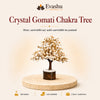 Authentic natural Gomati Chakra Crystal Tree for Prosperity and Spiritual Protection, shown as the main Evashu product view