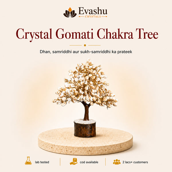 Authentic natural Gomati Chakra Crystal Tree for Prosperity and Spiritual Protection, shown as the main Evashu product view