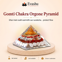 Certified Natural Gomti Chakra Orgone Pyramid - Sacred Protection & Positive Energy