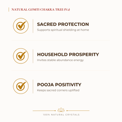 Gomti Chakra Crystal Tree benefits for wealth attraction and prosperity intention, explained in an Evashu natural-crystal guide