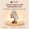 Authentic natural Gomti Chakra Crystal Tree for Sacred Protection and Household Prosperity, shown as the main Evashu product view
