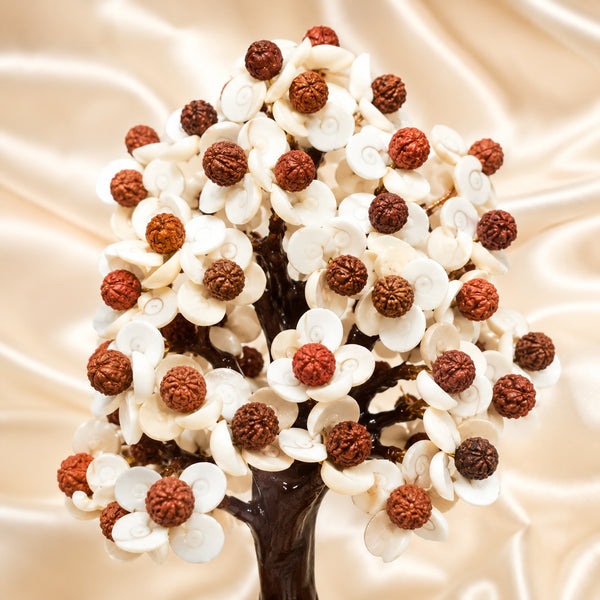 Close-up of authentic natural Gomti Chakra and Rudraksha showing crystal texture, colour and craftsmanship