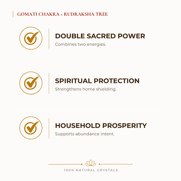 Gomati Chakra + Rudraksha Rudraksha benefits for wealth attraction and prosperity intention, explained in an Evashu natural-crystal guide