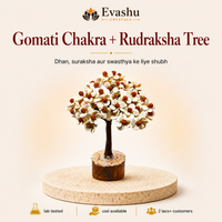 Certified Natural Gomati Chakra + Rudraksha Rudraksha - Double Sacred Power & Spiritual Protection
