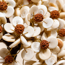 Load image into Gallery viewer, Close-up of authentic natural Rudraksha showing crystal texture, colour and craftsmanship – gomti chakra rudraksha tree for protection prosperity and positive
