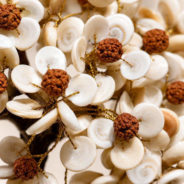 Close-up of authentic natural Rudraksha showing crystal texture, colour and craftsmanship – gomti chakra rudraksha tree for protection prosperity and positive