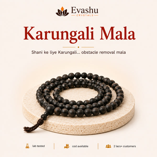 Authentic natural Karungali Mala for Shani Support and Obstacle Shield, shown as the main Evashu product view