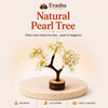 Authentic natural Pearl Crystal Tree for Inner Peace and Emotional Harmony, shown as the main Evashu product view
