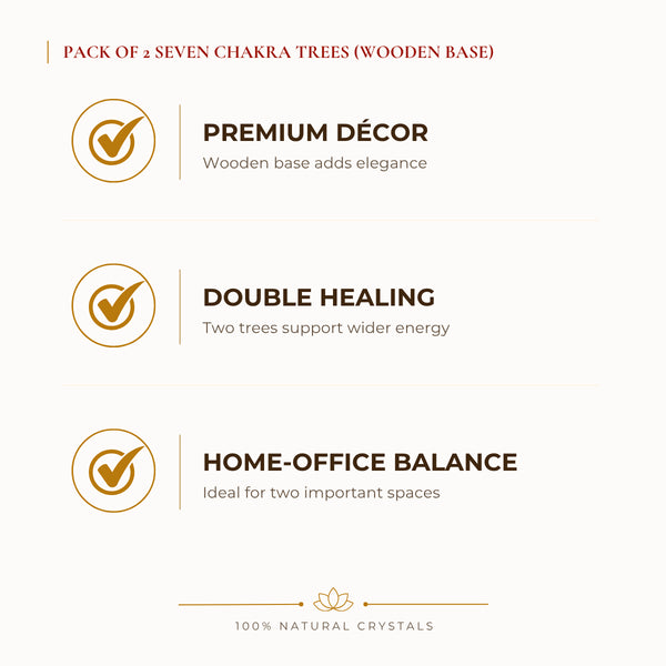 Seven Chakra Crystal Tree Pack benefits for focus and mental clarity, explained in an Evashu natural-crystal guide – pack of 2 seven chakra crystal trees wooden