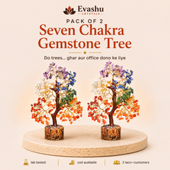 Authentic natural Seven Chakra Crystal Tree Pack for Dual Space Balance and Positive Energy, shown as the main Evashu product view