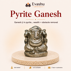 Authentic natural Pyrite Ganesh Idol for Success Focus and Wealth Energy, shown as the main Evashu product view