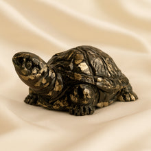 Load image into Gallery viewer, Evashu customer reviews and verified buyer feedback for Pyrite Tortoise with Free Selenite Charging Plate | Wealth Growth &amp; Business
