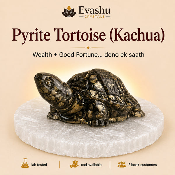 Authentic natural Pyrite Tortoise with Free Selenite Charging Plate | Wealth Growth & Business for wealth attraction and prosperity intention, shown as the main