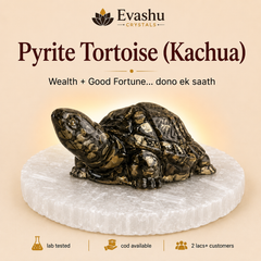 Authentic natural Pyrite Tortoise with Free Selenite Charging Plate | Wealth Growth & Business for wealth attraction and prosperity intention, shown as the main