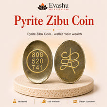 Load image into Gallery viewer, Authentic natural Pyrite Zibu Coin for Wealth and Success, shown as the main Evashu product view
