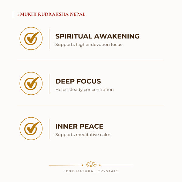 1 Mukhi Rudraksha Nepal Rudraksha benefits for calm mind and stress relief, explained in an Evashu natural-crystal guide