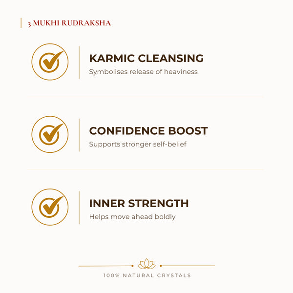 3 Mukhi Rudraksha benefits for focus and mental clarity, explained in an Evashu natural-crystal guide