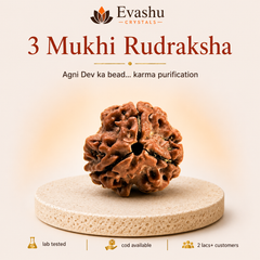 Authentic natural 3 Mukhi Rudraksha for Karmic Cleansing and Confidence Boost, shown as the main Evashu product view