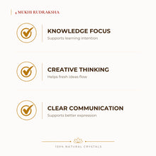Load image into Gallery viewer, 4 Mukhi Rudraksha benefits for focus and mental clarity, explained in an Evashu natural-crystal guide
