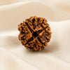 4 Mukhi Rudraksha displayed fully on white silk cloth to show its natural colour, shape and finish