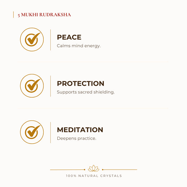 5 Mukhi Rudraksha benefits for calm mind and stress relief, explained in an Evashu natural-crystal guide