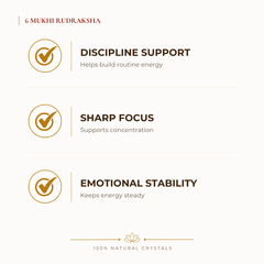 6 Mukhi Rudraksha benefits for focus and mental clarity, explained in an Evashu natural-crystal guide