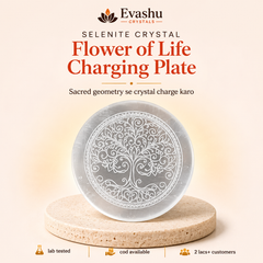 Authentic natural Selenite Charging Plate for Crystal Charging and Energy Cleansing, shown as the main Evashu product view – selenite charging plate flower of