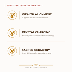 Selenite Sri Yantra Charging Plate benefits for wealth attraction and prosperity intention, explained in an Evashu natural-crystal guide – selenite charging